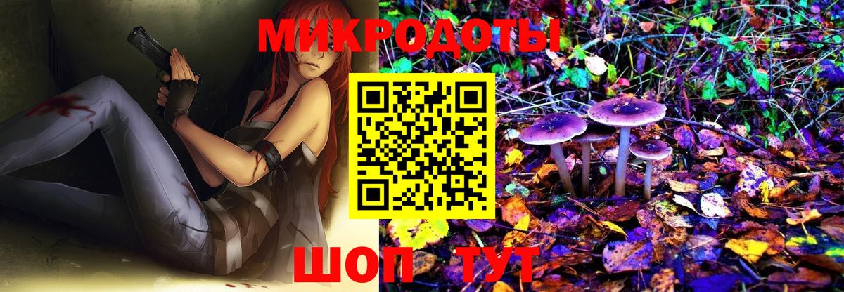 Галлюциногенные грибы MAGIC MUSHROOMS Углич