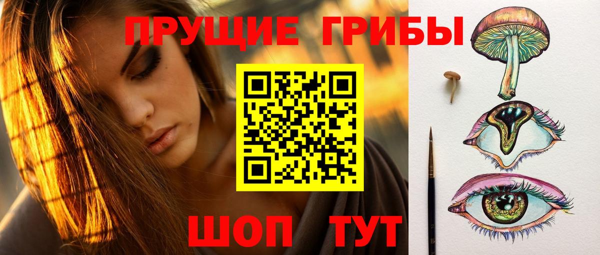 Углич  Галлюциногенные грибы Psilocybine cubensis  Вход с VPN 